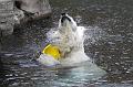 Bremerhaven_Zoo_06