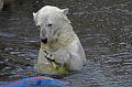 Bremerhaven_Zoo_07