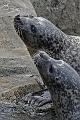 Bremerhaven_Zoo_09
