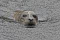 Bremerhaven_Zoo_10