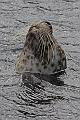 Bremerhaven_Zoo_11