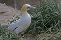 Bremerhaven_Zoo_14