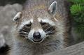 Bremerhaven_Zoo_16