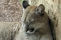 Bremerhaven_Zoo_17