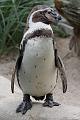 Bremerhaven_Zoo_21