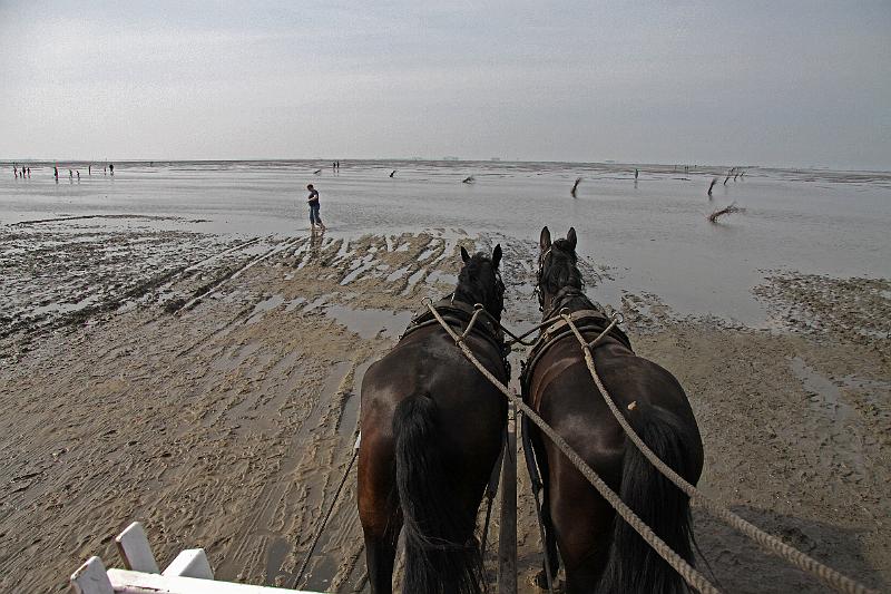 Cuxhaven_Kutschfahrt_03.jpg