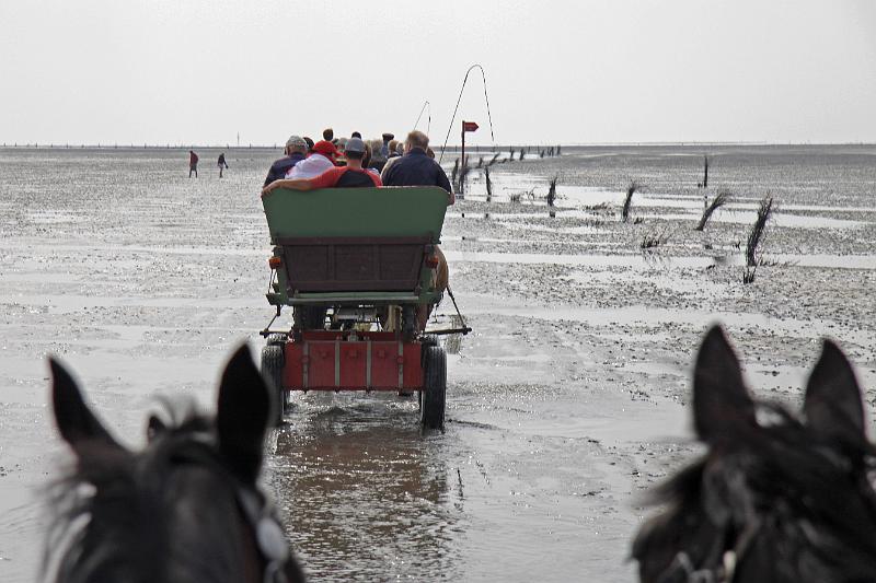 Cuxhaven_Kutschfahrt_05.jpg