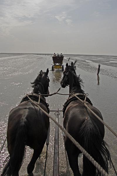 Cuxhaven_Kutschfahrt_07.jpg