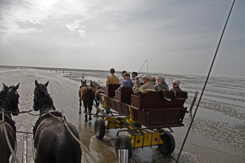 Cuxhaven_Kutschfahrt_08.jpg