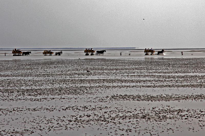 Cuxhaven_Kutschfahrt_09.jpg