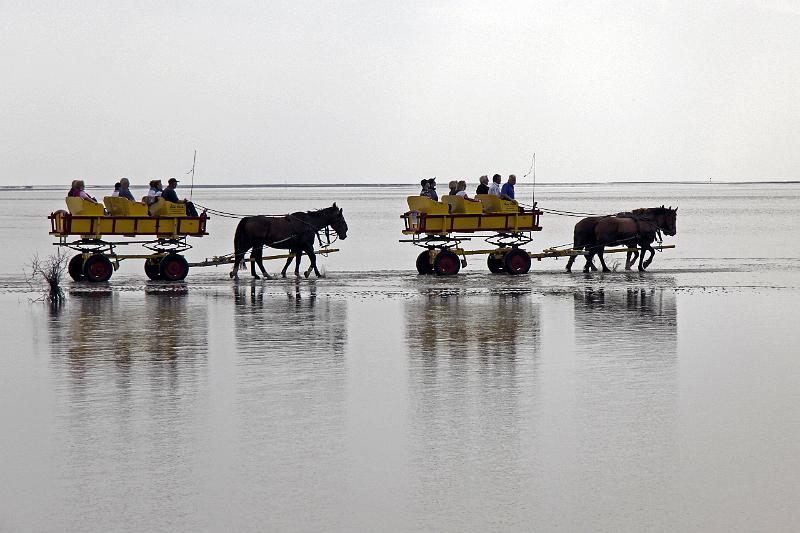 Cuxhaven_Kutschfahrt_10.jpg