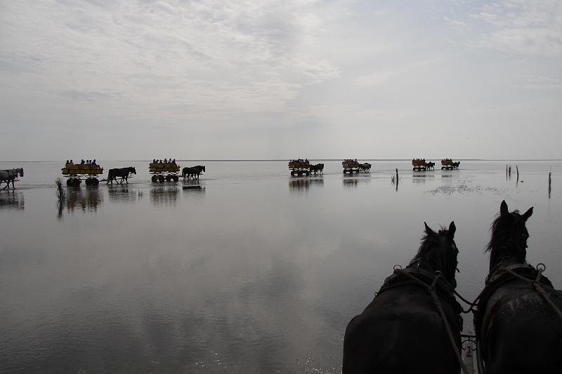 Cuxhaven_Kutschfahrt_11.jpg