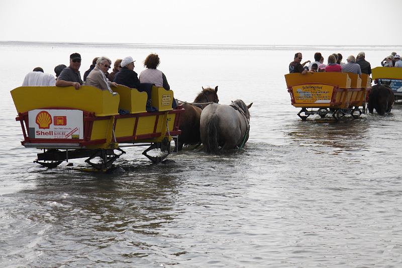 Cuxhaven_Kutschfahrt_12.jpg