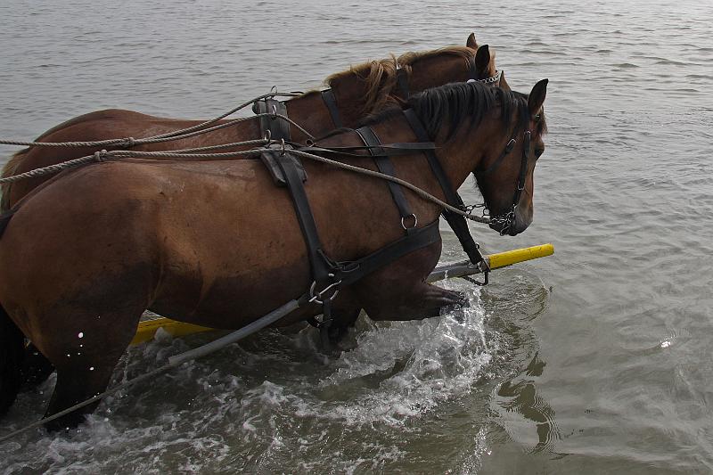 Cuxhaven_Kutschfahrt_13.jpg