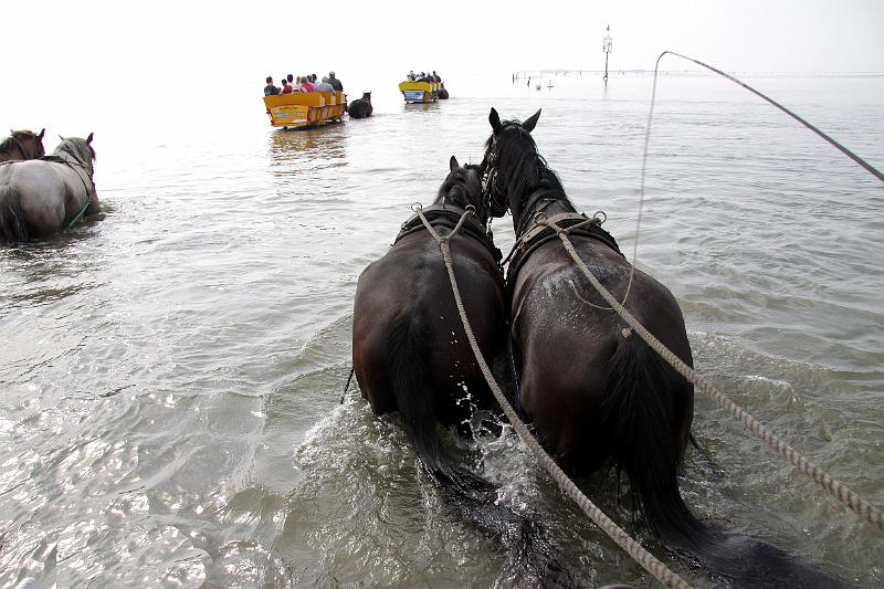 Cuxhaven_Kutschfahrt_14.jpg