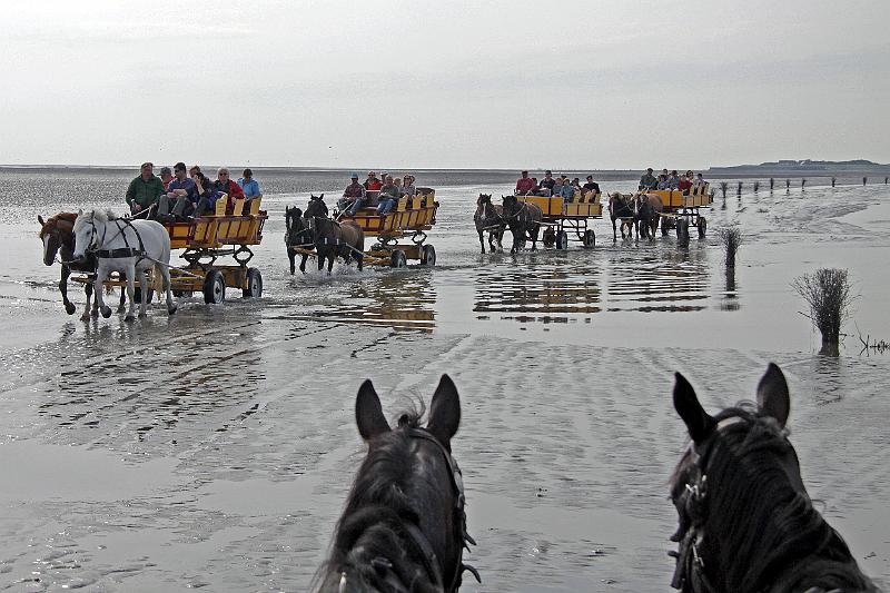 Cuxhaven_Kutschfahrt_16.jpg