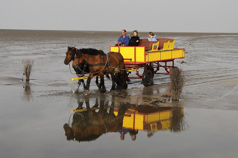 Cuxhaven_Kutschfahrt_32.jpg