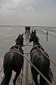 Cuxhaven_Kutschfahrt_07