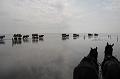 Cuxhaven_Kutschfahrt_11