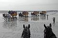 Cuxhaven_Kutschfahrt_16