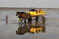 Cuxhaven_Kutschfahrt_32