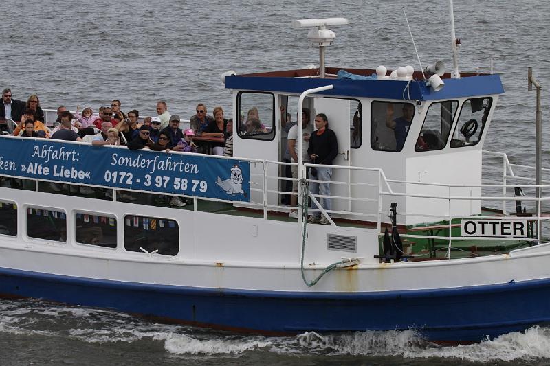 Cuxhaven_Seehunde_02.JPG
