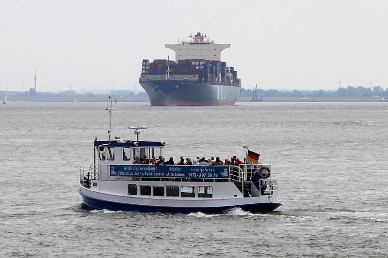 Cuxhaven_Seehunde_04.JPG