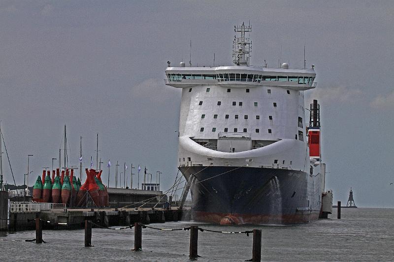Cuxhaven_Seehunde_05.jpg