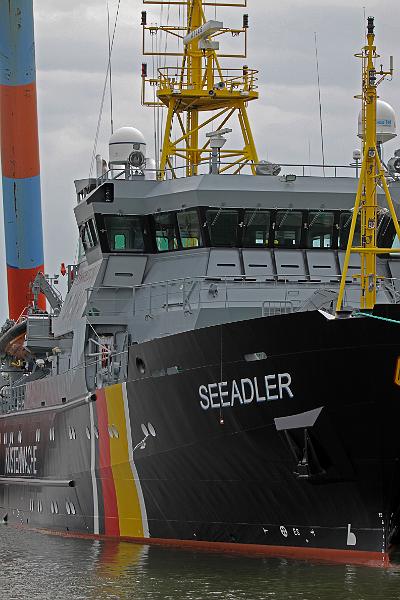Cuxhaven_Seehunde_08.jpg