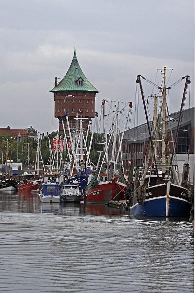 Cuxhaven_Seehunde_09.jpg
