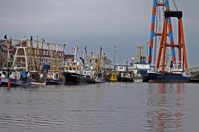 Cuxhaven_Seehunde_10.jpg