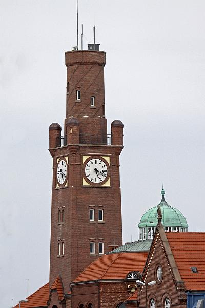 Cuxhaven_Seehunde_11.jpg