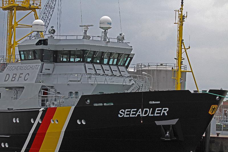 Cuxhaven_Seehunde_12.jpg
