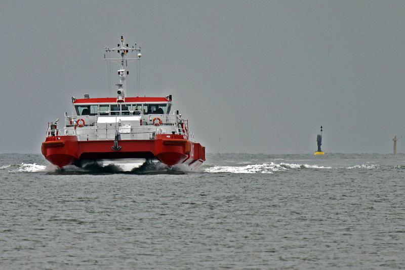 Cuxhaven_Seehunde_15.jpg