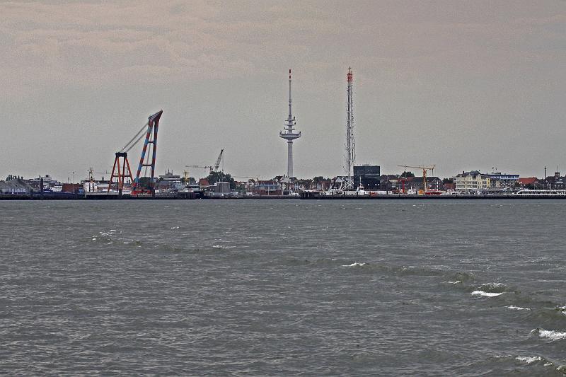 Cuxhaven_Seehunde_18.jpg