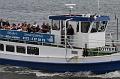 Cuxhaven_Seehunde_02