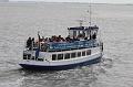Cuxhaven_Seehunde_03