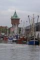 Cuxhaven_Seehunde_09