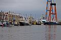 Cuxhaven_Seehunde_10