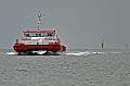 Cuxhaven_Seehunde_15