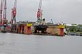 Cuxhaven_Seehunde_16