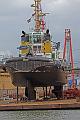 Cuxhaven_Seehunde_17