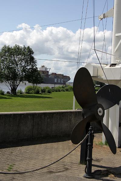 IMG_2978.jpg