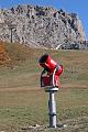 IMG_3573v