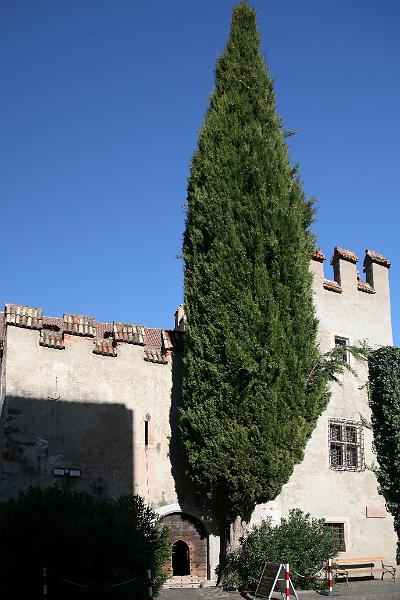 IMG_0530.jpg