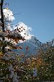 IMG_0654