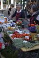 IMG_0801