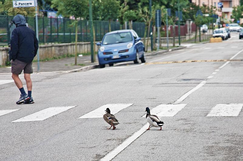 Peschiera_09.JPG