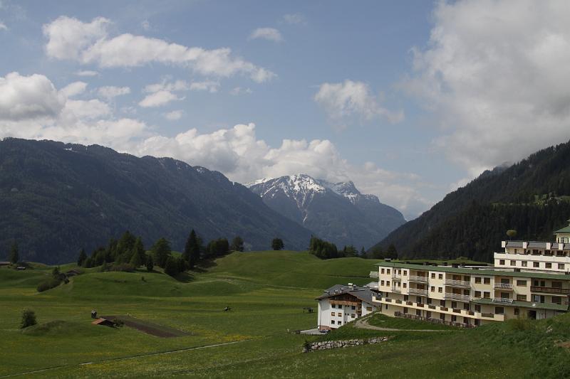 Ried_05.JPG