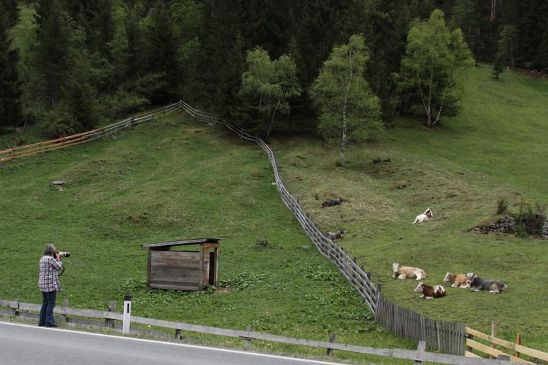 Ried_16.jpg